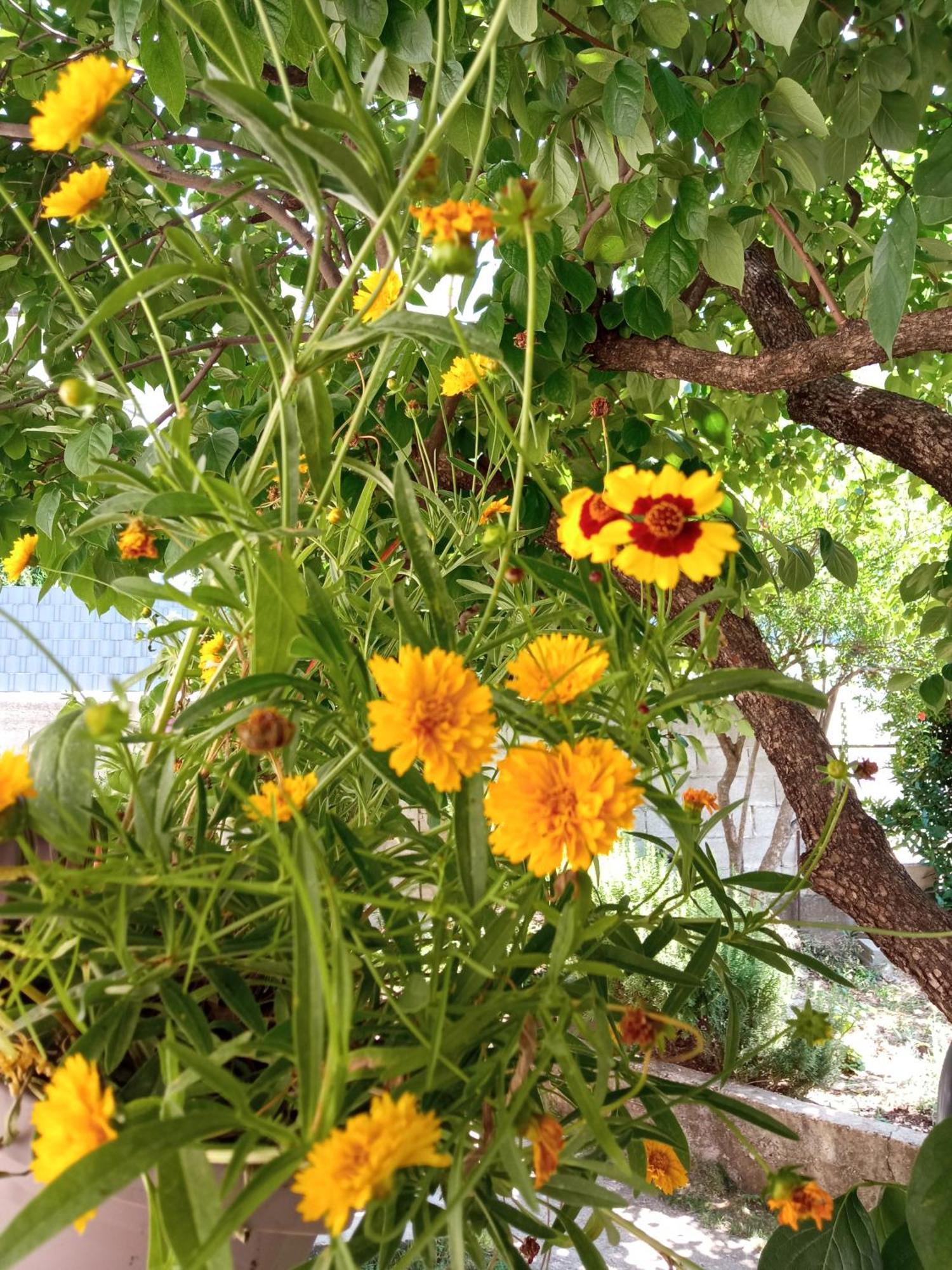 Summer House With Heated Swimming Pool Mostar Cameră foto